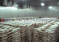 1000 tonnes de grand congélateur de R507 R404a de chambre froide pour des poulets de poissons de viande