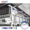 Réfrigération directe Machines industrielles de glaçage de 25 tonnes