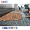 Iqf congélateur à tunnel rapide équipement de refroidissement pour les noix de lotus légumes pâtisseries boulettes de viande congélateur