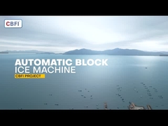 15 tonnes de glacière à bloc de refroidissement direct pour les fruits de mer