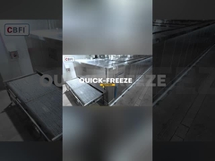 2 tonnes/h dans le congélateur rapide
