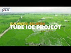 Projet de glace en tubes 30 tonnes Machine à glace en tubes à faible consommation d'énergie et à haute production