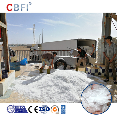 1-60 tonnes/24h Capacité machine à glace en flocons industrielle pour la production de glace en flocons